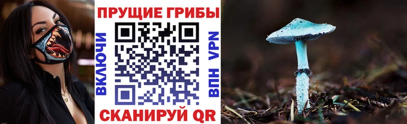 Псилоцибиновые грибы Magic Shrooms Подольск